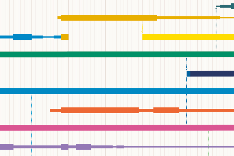 Politisk Infografik