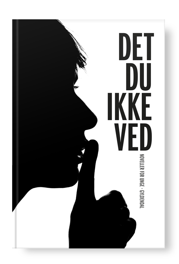 det-du-ikke-ved-bogomslag-stor
